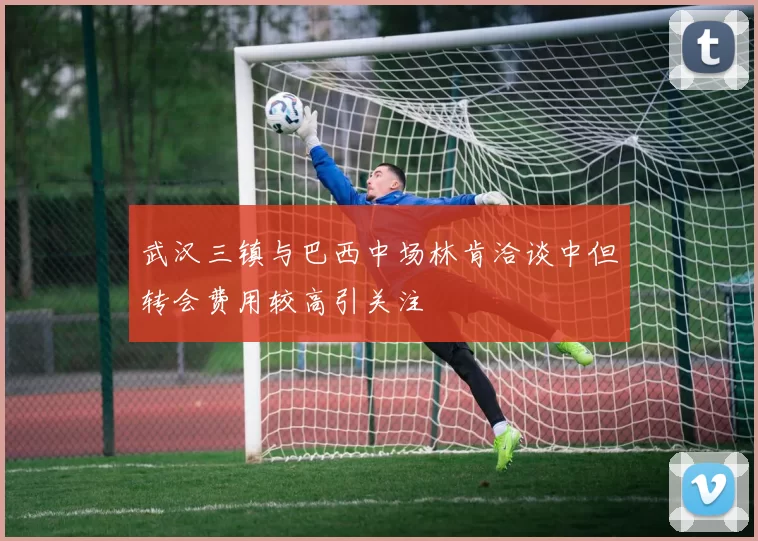武汉三镇与巴西中场林肯洽谈中但转会费用较高引关注